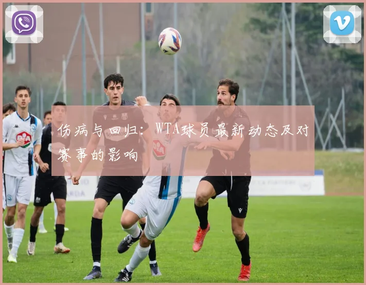伤病与回归：WTA球员最新动态及对赛事的影响