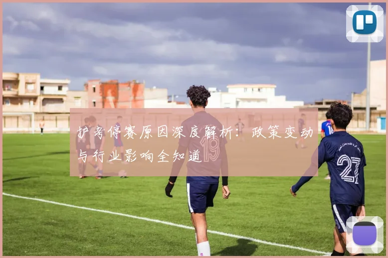 护考停赛原因深度解析：政策变动与行业影响全知道