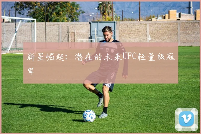 新星崛起：潜在的未来UFC轻量级冠军