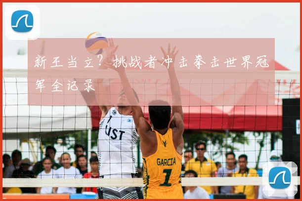 新王当立?挑战者冲击拳击世界冠军全记录