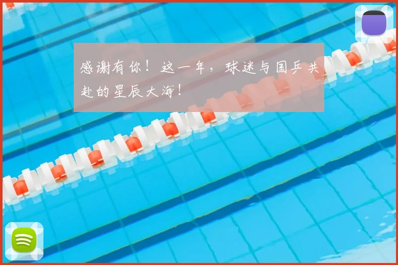 感谢有你!这一年,球迷与国乒共赴的星辰大海!
