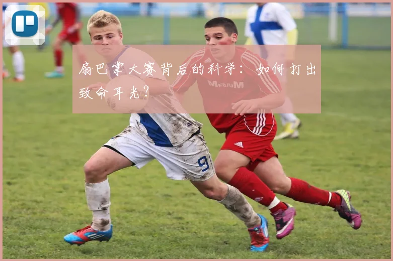 扇巴掌大赛背后的科学：如何打出致命耳光？