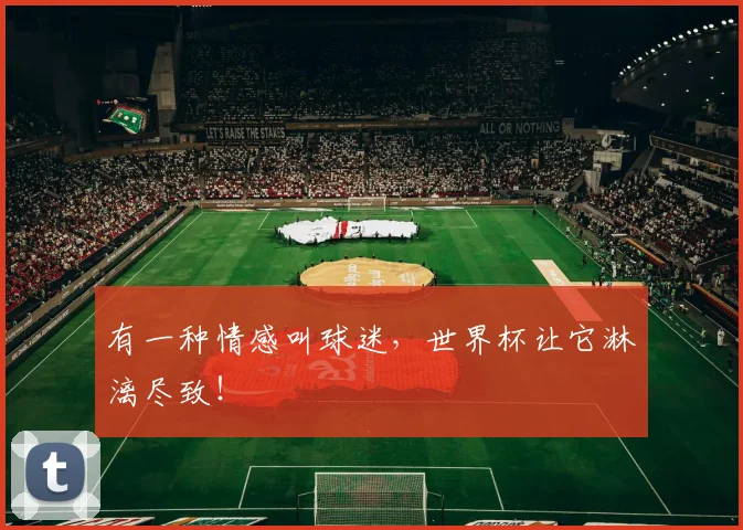 有一种情感叫球迷，世界杯让它淋漓尽致！