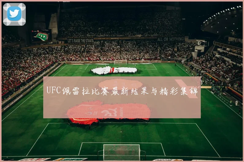 UFC佩雷拉比赛最新结果与精彩集锦