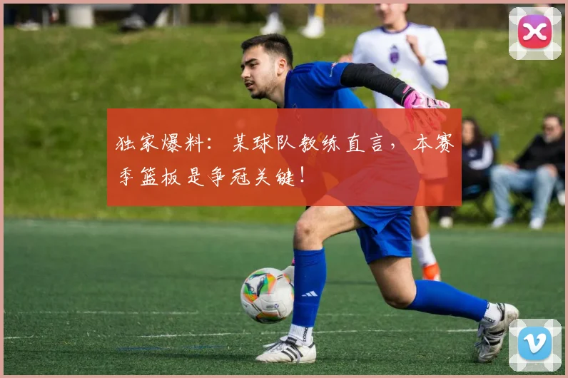 独家爆料：某球队教练直言，本赛季篮板是争冠关键！