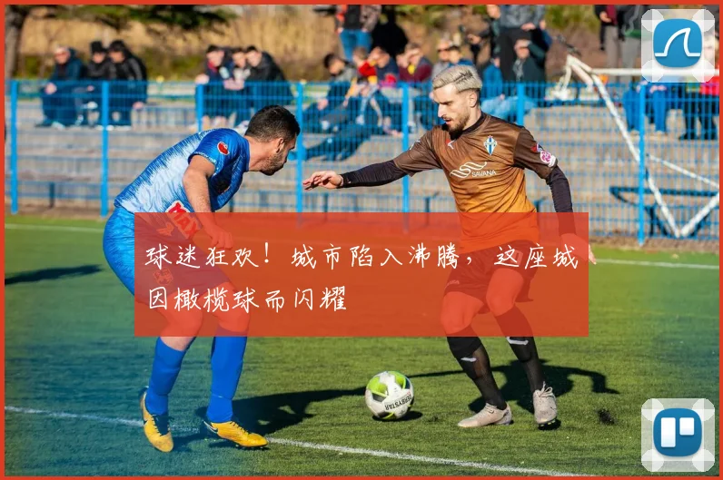球迷狂欢！城市陷入沸腾，这座城因橄榄球而闪耀